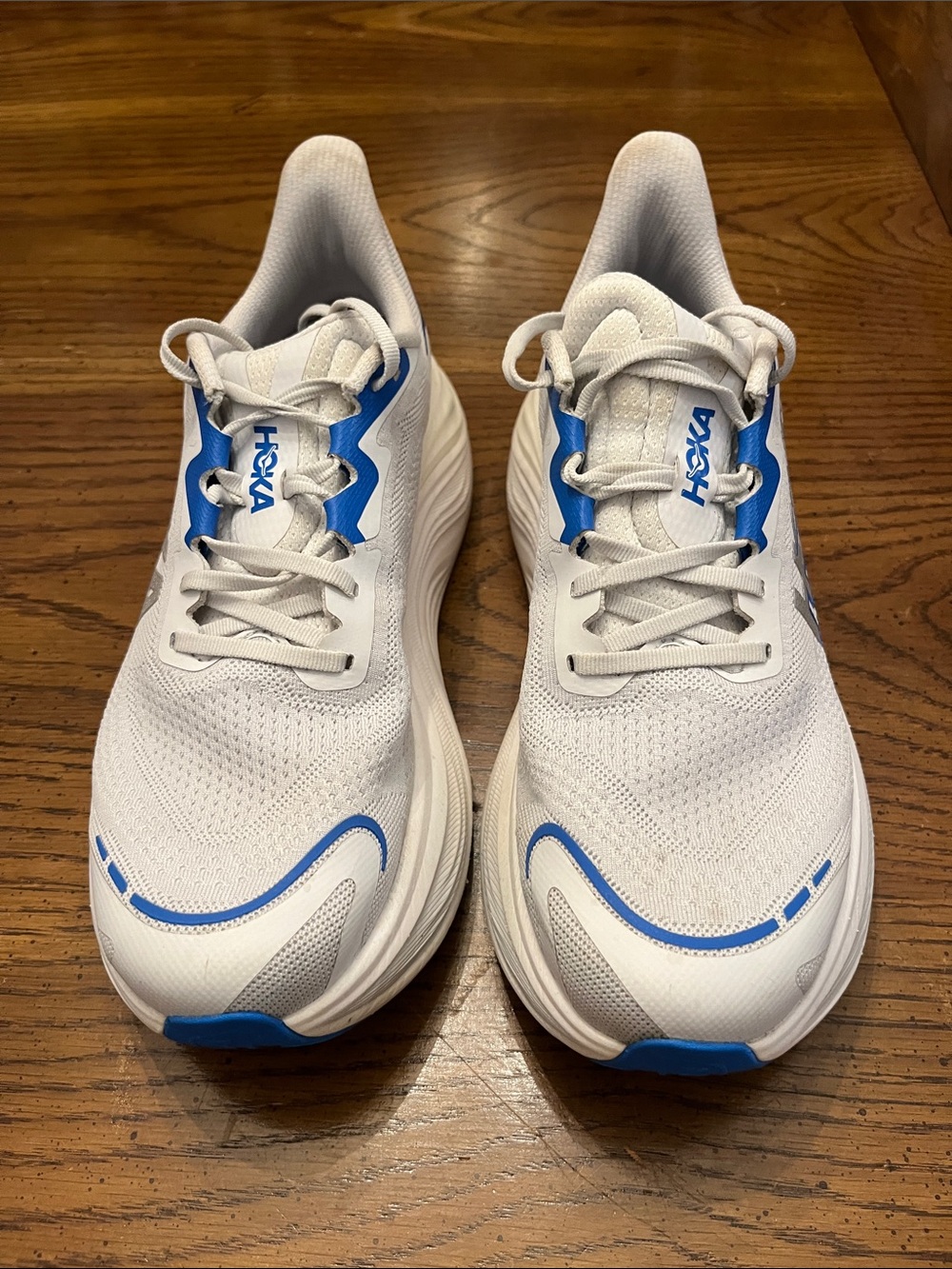 Hoka Skyward X, size 10